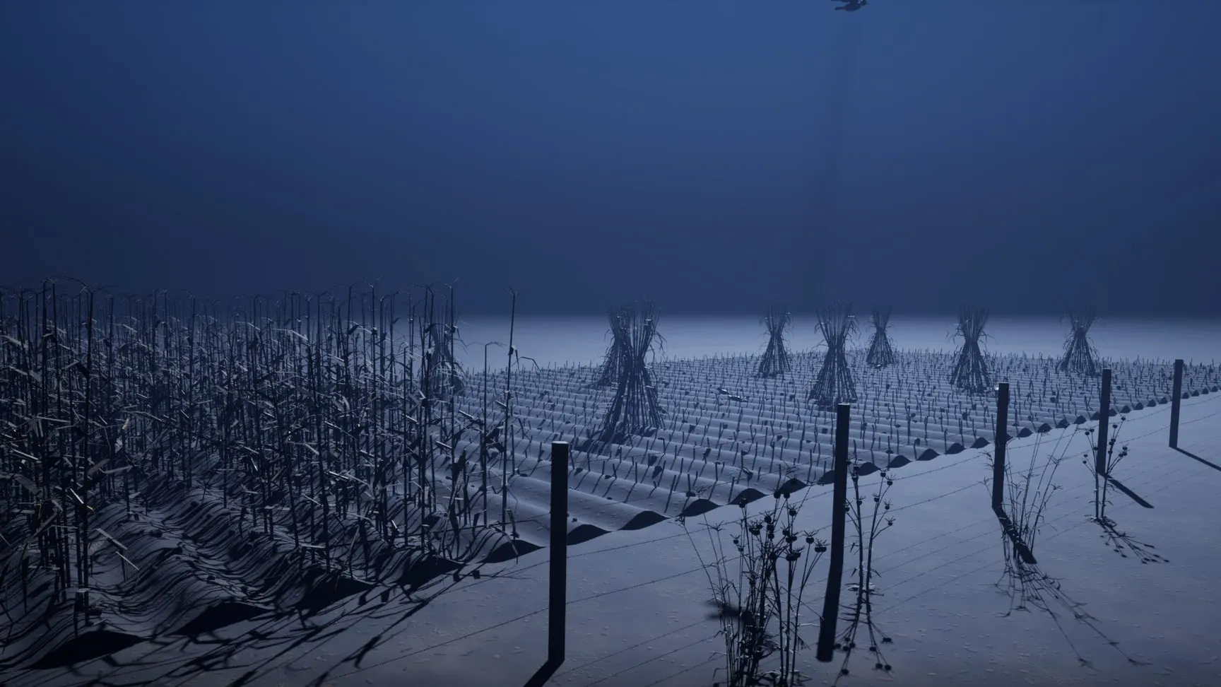 Corn field, shocks and barbed wire